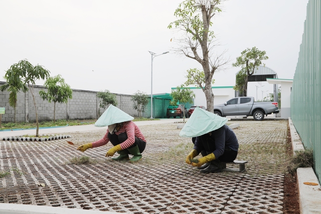 Mebipha 'trình làng' trang trại gà đẻ trứng công nghệ cao tại Bình Thuận- Ảnh 4.