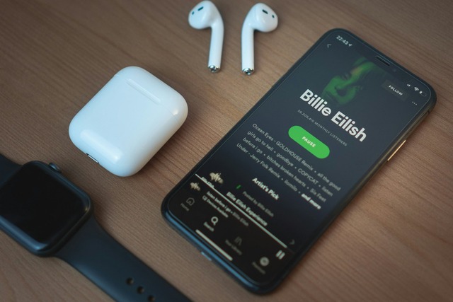 Gói dịch vụ Spotify Music Pro được mong đợi sắp ra mắt- Ảnh 1.