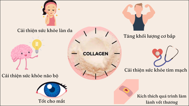 Hướng dẫn cách uống collagen chuẩn chuyên gia đạt hiệu quả cao, không tác dụng phụ- Ảnh 2.