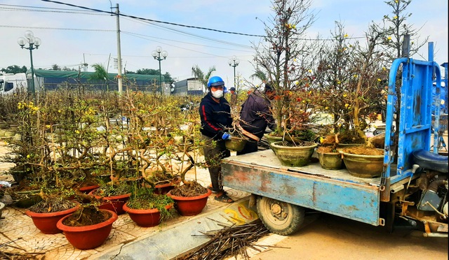 Một địa phương ở Bình Định thu 155 tỉ đồng từ bán hoa tết- Ảnh 1.