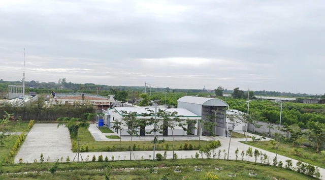 Mebipha 'trình làng' trang trại gà đẻ trứng công nghệ cao tại Bình Thuận - Ảnh 5. Mebipha 'trình làng' trang trại gà đẻ trứng công nghệ cao tại Bình Thuận - Ảnh 1.