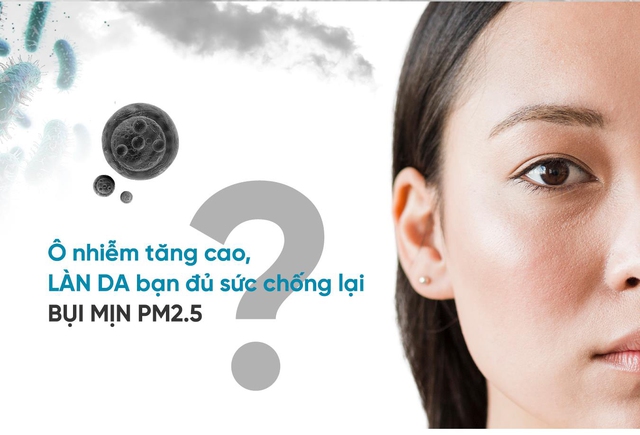 Hiểu cách bụi mịn PM2.5 phá hủy hàng rào da của chúng ta- Ảnh 1.