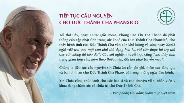 The Vietnamese Bishops' Council invites prayers for Pope Francis - Photo 2.