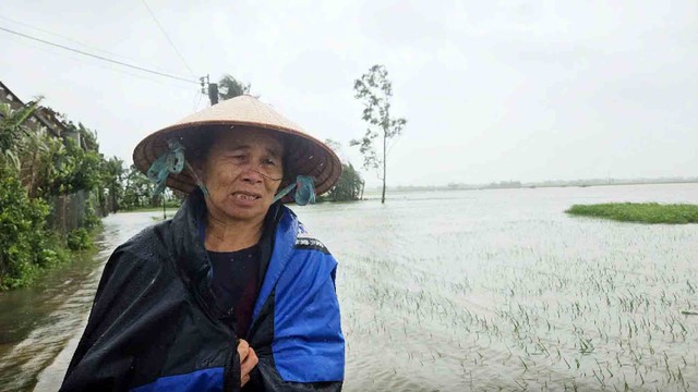 Mưa trái mùa khắp nơi, nông dân điêu đứng- Ảnh 2.