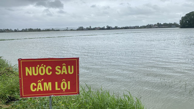 Hơn 1.500 ha lúa, hoa màu ở Phú Yên bị hư hại do mưa lũ bất thường - Ảnh 3.