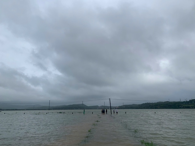 Mất trắng vụ mùa do mưa lũ bất thường, nông dân ngậm ngùi bất lực cầu cứu - Ảnh 1.