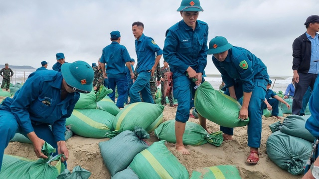 Hàng trăm người đắp kè, cứu bãi biển đẹp nhất Quảng Ngãi - Ảnh 3.