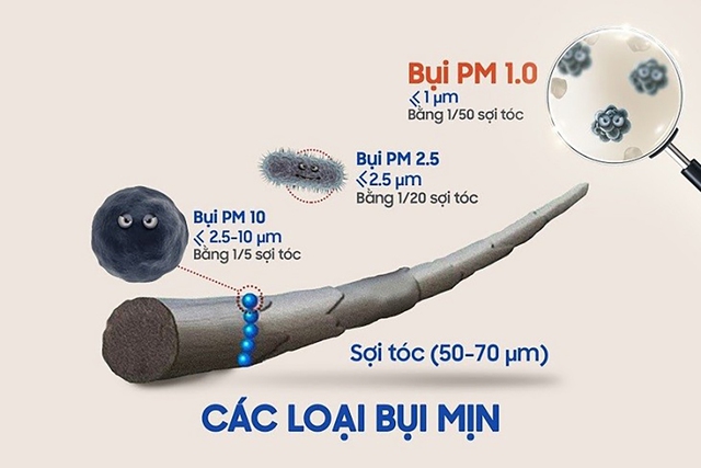 Bụi mịn ảnh hưởng da như thế nào - Lời cảnh báo từ chuyên gia da liễu- Ảnh 2.