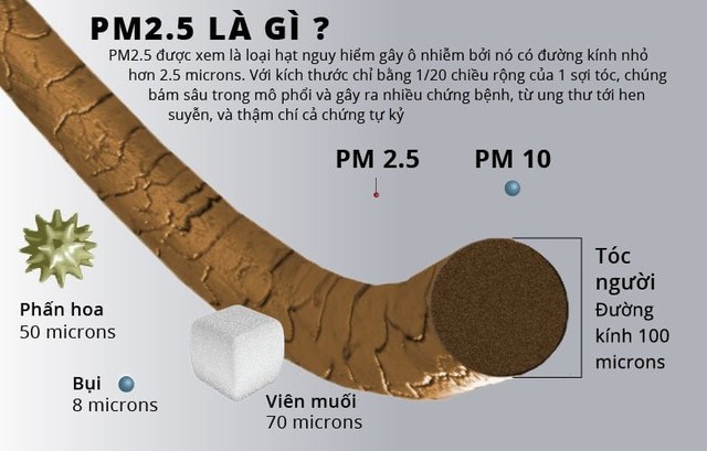 Giải mã chỉ số bụi mịn và bí quyết da khỏe đẹp giữa ô nhiễm không khí - Ảnh 3.