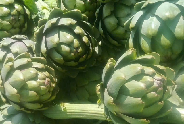 B&aacute;c sĩ chia sẻ những c&aacute;ch phục hồi sức khỏe sau những ng&agrave;y nghỉ d&agrave;i- Ảnh 2.