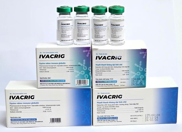 Ca tử vong do bệnh dại gia tăng, tiêm ngừa thế nào để phòng chống hiệu quả? - Ảnh 1.