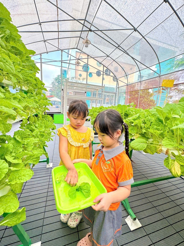 Sau tết, các trường mầm non TP.HCM hoạt động như thế nào?- Ảnh 7. Sau tết, các trường mầm non TP.HCM hoạt động như thế nào?- Ảnh 7.