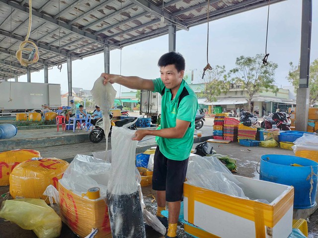 Ngư dân Cà Mau hân hoan với chuyến biển đầu năm bội thu- Ảnh 2.