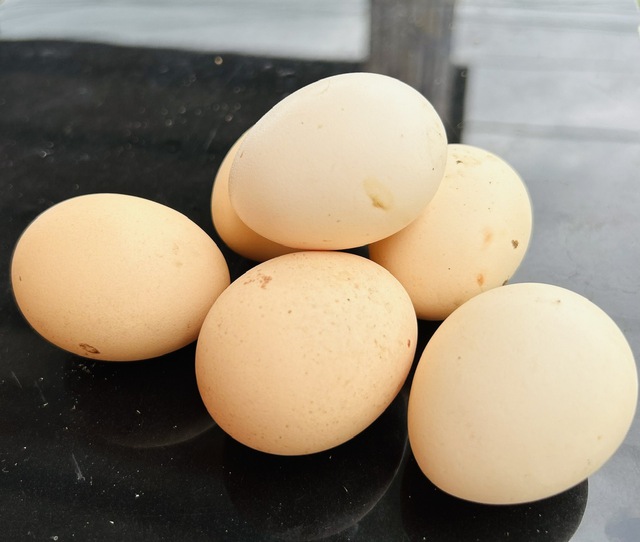 L&ograve;ng trứng cam hay v&agrave;ng sẽ tốt hơn? - Ảnh 3.