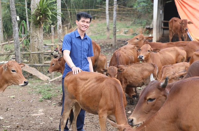 Phương châm lập nghiệp thu lãi hàng trăm triệu đồng/năm của Lang Văn Vê - Ảnh 1.