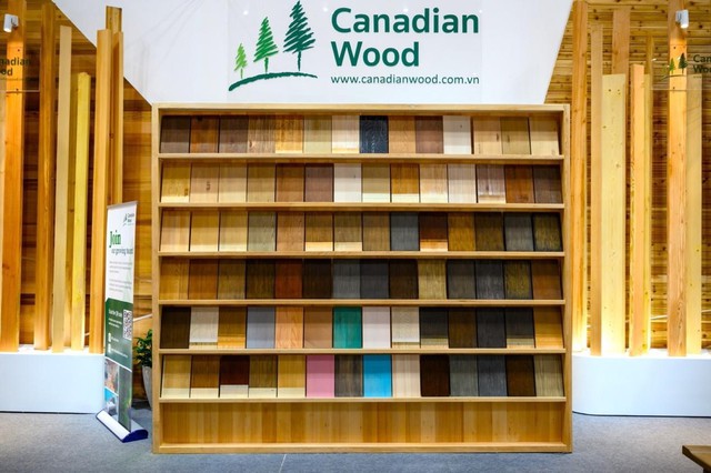 Canadian Wood Việt Nam tăng cường kết nối với ngành gỗ và nội thất Việt- Ảnh 2.