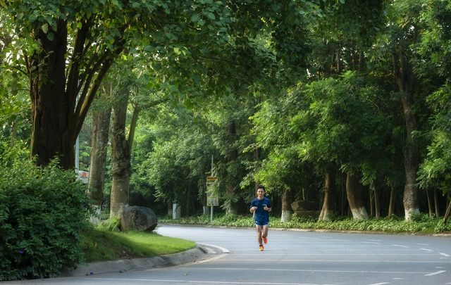 Ecopark và hành trình kiến tạo rừng retreat tiên phong tại Việt Nam - Ảnh 2.