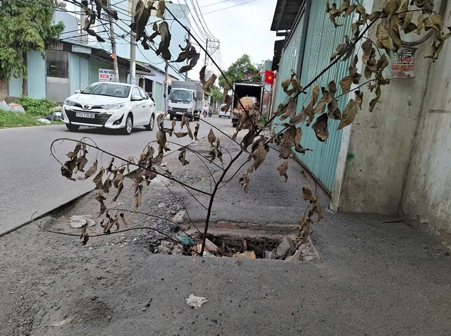 Hố ga nguy hiểm - Ảnh 1.