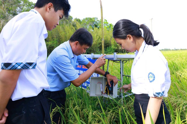 Học sinh Hậu Giang ứng dụng công nghệ giúp nâng cao hiệu quả trồng lúa nước - Ảnh 3.