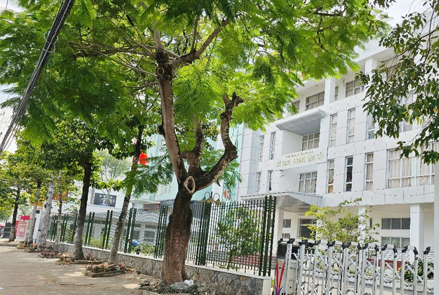 Nhận hối lộ, cựu trưởng phòng Sở GTVT Sóc Trăng bị truy tố - Ảnh 1.