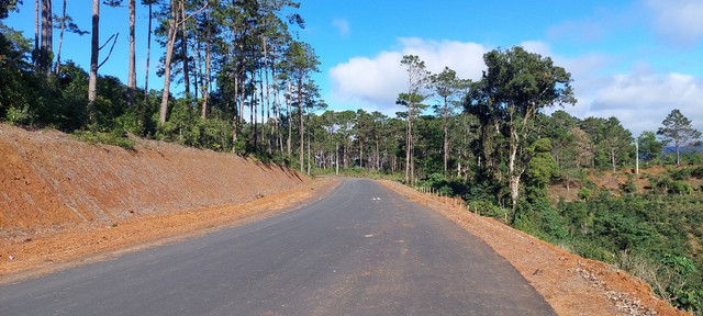 Ông Đặng Thanh Nam, nguyên Chủ tịch UBND H.Kon Plông bị khởi tố - Ảnh 2.