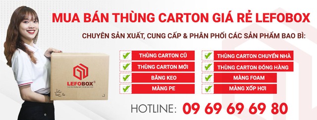 Địa chỉ mua th&ugrave;ng carton, hộp giấy carton gi&aacute; rẻ chất lượng h&agrave;ng đầu TP.HCM - Lefobox - Ảnh 1.