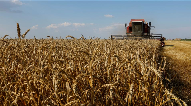 Chiến sự Ukraine ng&agrave;y 1125: Tiếng s&uacute;ng vẫn nổ trong l&uacute;c đ&agrave;m ph&aacute;n - Ảnh 3.