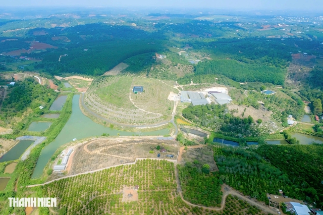 Hộ kinh doanh 'kêu trời' vì bất ngờ bị đóng mã số thuế- Ảnh 1. Hộ kinh doanh 'kêu trời' vì bất ngờ bị đóng mã số thuế- Ảnh 1.