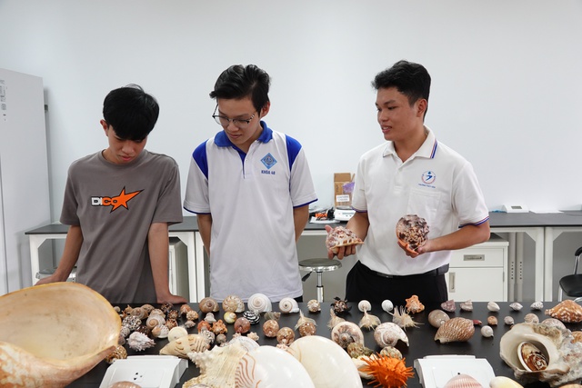 Bộ sưu tập hơn 100 loài ốc biển độc đáo của chàng sinh viên miền Tây - Ảnh 1.