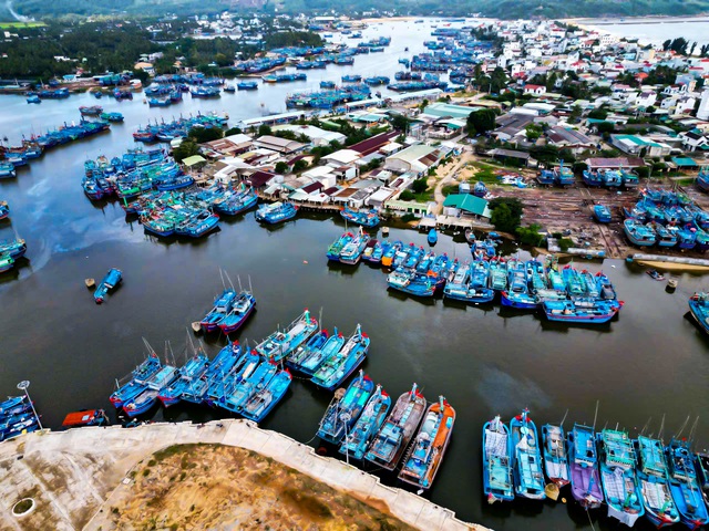 Hoài Nhơn - 'Mảnh đất tình người'- Ảnh 4. Hoài Nhơn - 'Mảnh đất tình người'- Ảnh 4.