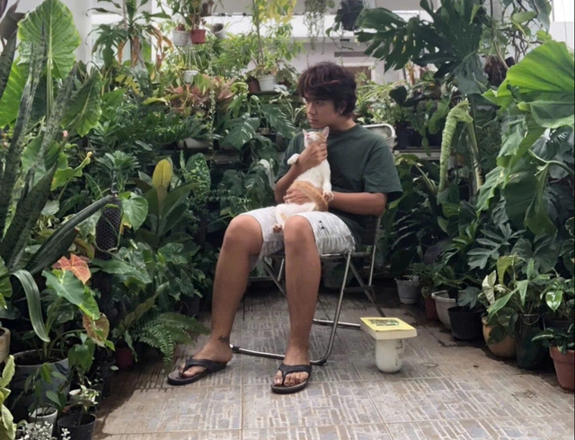 Ch&agrave;ng trai trồng vườn kiểng l&aacute; xanh mướt tr&ecirc;n s&acirc;n thượng - Ảnh 1.