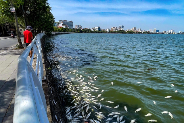 H&agrave; Nội d&ugrave;ng nước thải sau xử l&yacute; bổ cập nước cho hồ T&acirc;y - Ảnh 1.