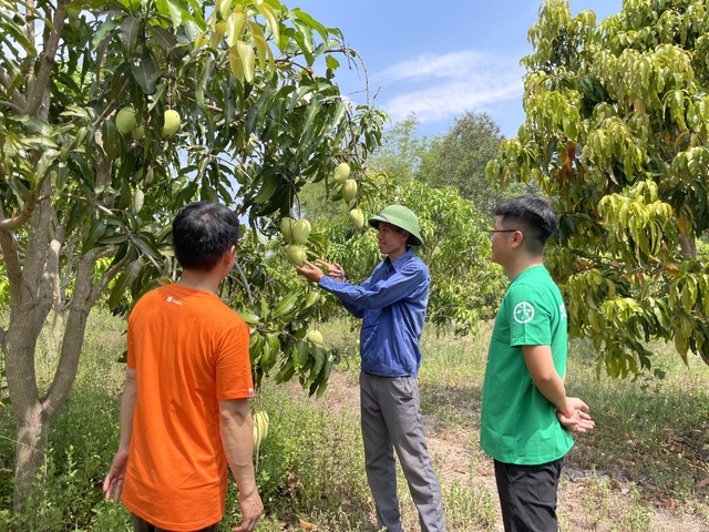 Hành trình Shopee xây 'bệ phóng' đưa hàng Việt vươn xa - Ảnh 3.