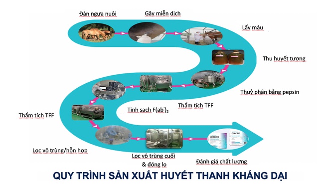 Huyết thanh IVACRIG - Vũ khí hiệu quả điều trị dự phòng bệnh dại - Ảnh 5. Huyết thanh IVACRIG - Vũ khí hiệu quả điều trị dự phòng bệnh dại - Ảnh 5.