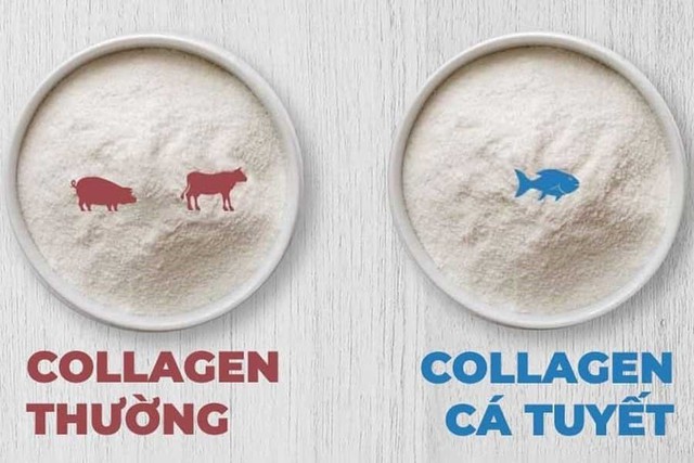 Collagen chiết xuất từ da cá biển sâu có phải là xu hướng dưỡng da khỏe đẹp? - Ảnh 1.