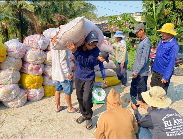 VN nhập đến 1,24 triệu tấn lúa gạo- Ảnh 1.