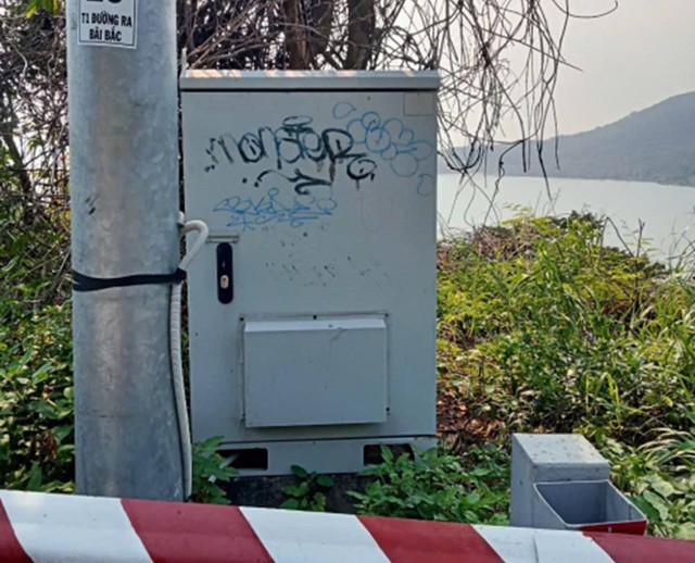 Xử lý nghiêm hành vi vẽ bậy ở biển Đà Nẵng, bán đảo Sơn Trà - Ảnh 7.