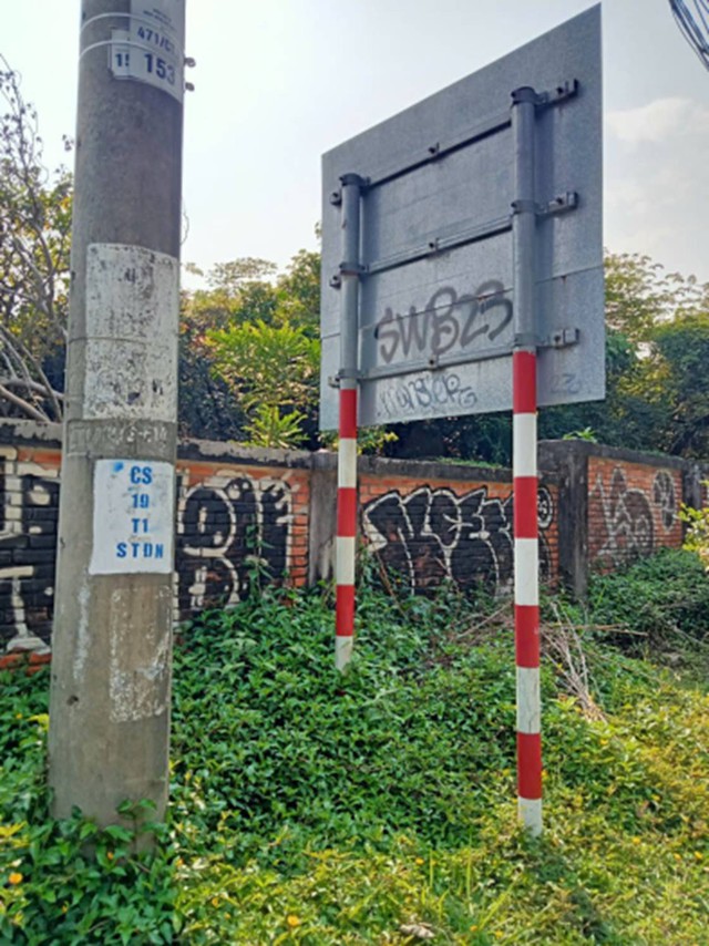 Xử lý nghiêm hành vi vẽ bậy ở biển Đà Nẵng, bán đảo Sơn Trà - Ảnh 4.