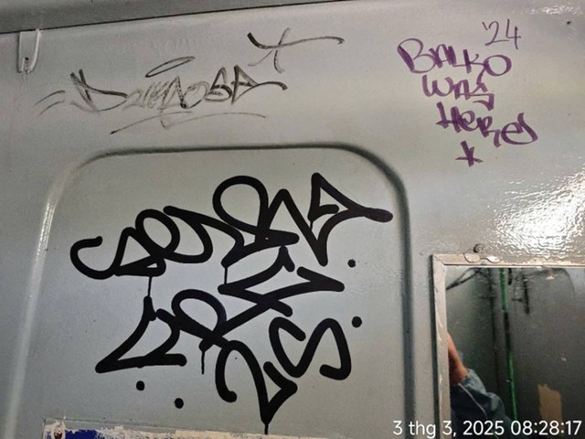 Xử lý nghiêm hành vi vẽ bậy ở biển Đà Nẵng, bán đảo Sơn Trà - Ảnh 6.