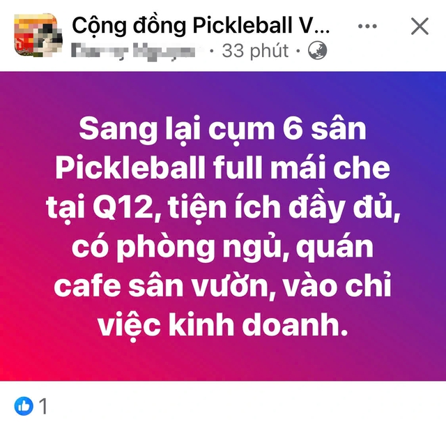 Đầu tư sân pickleball, liệu cung đã vượt cầu?- Ảnh 2.