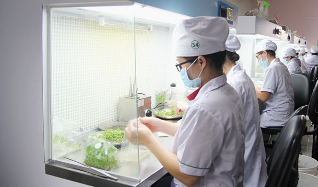 Đưa nghi&ecirc;n cứu sinh l&yacute; thực vật v&agrave;o thực tiễn cuộc sống- Ảnh 2.