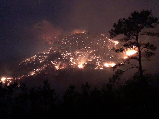 Hơn 700 người xuyên đêm chữa cháy rừng tại Quảng Ninh - Ảnh 3.