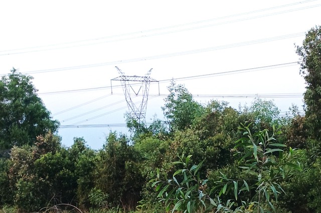 Cảm ơn những người thợ điện 500kV ở Đức Hòa ngày ấy- Ảnh 1.