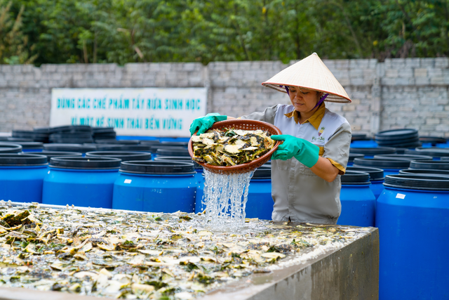 Khi sản phẩm tẩy rửa hữu cơ 'made in Việt Nam' vươn ra biển lớn - Ảnh 2.