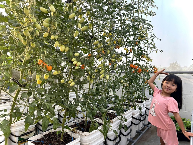 Khu vườn s&acirc;n thượng cho tr&aacute;i quanh năm của &ocirc;ng bố 9X - Ảnh 11.