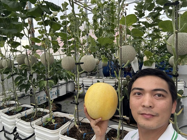 Khu vườn s&acirc;n thượng cho tr&aacute;i quanh năm của &ocirc;ng bố 9X - Ảnh 1.