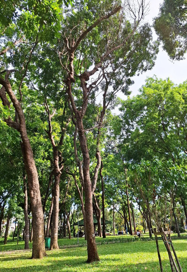  - Ảnh 1.