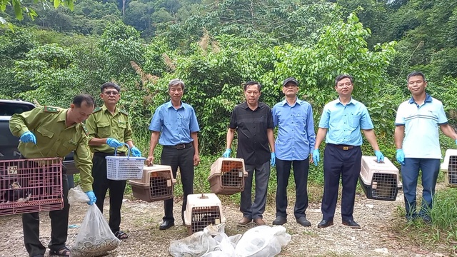 Thả trăn đất và động vật hoang dã về Vườn quốc gia Chư Yang Sin- Ảnh 1.