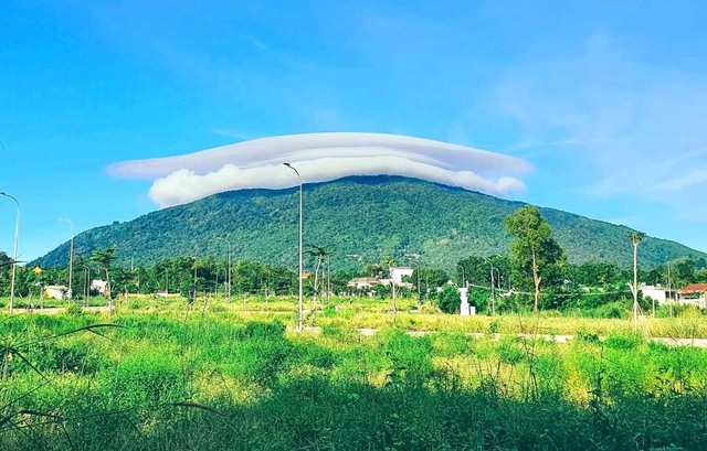 Bán đấu giá khu đất 100 ha ở núi Chứa C…