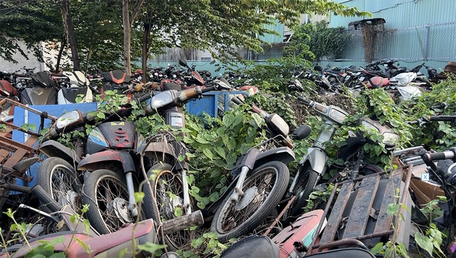 Bán tang vật ngay nếu không có nơi bảo quản: Đề xuất mới từ Bộ Tư pháp - Ảnh 1.